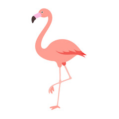 Flamingo: The Elegant Pink Wader