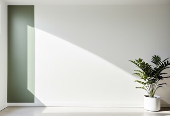 A potted plant sitting in front of a white wall.