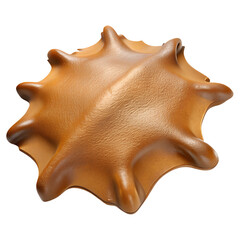 tanned animal hide with uneven edges, medieval game 3d icon