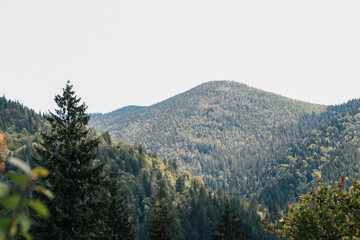 Expansive view of lush green mountains under a clear sky in a serene nature landscape
