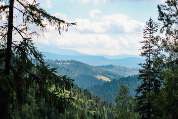 Scenic view of lush green mountains and valleys under a bright blue sky in summer