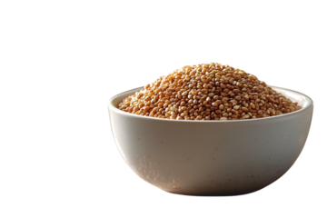A bowl filled with grains perfect for culinary and healthfocused content