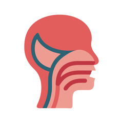 Human Head Silhouette with Throat and Mouth Anatomy