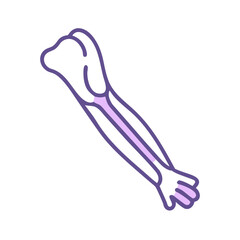 Stylized illustration of a human arm skeletal structure