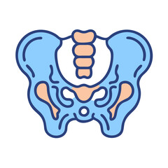 Pelvic Bone Illustration: Human Anatomy, Medical, Health, Skeleton