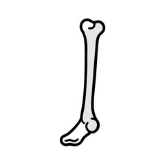 Isolated Femur Bone on Black Background Illustration