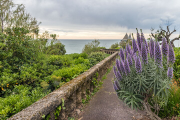 Biarritz
