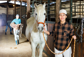 Asian woman horse breeder leading white horse through horse barn.