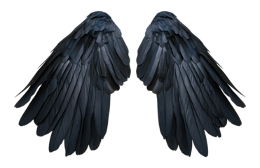 PNG Pair of black bird Wings wings decorative blackbird.