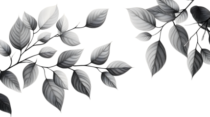 Detailed grayscale drawings of branches with many leaves displayed