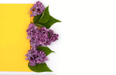 isolated yellow envelope with spring lilac flowers on white background with copy space