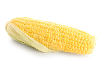 Fresh corn cob on white background