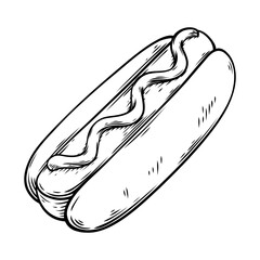 vector line art drawing illustration of a hot dog