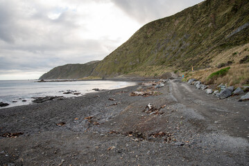 Red Rocks Road Wellington South Coast