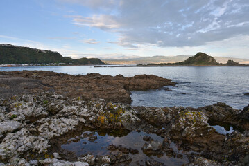 Rocky foreshore at Island Bay Wellington New Zealand