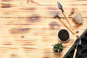 Composition with aloe vera and tools for transplanting on beige wooden background. Top view