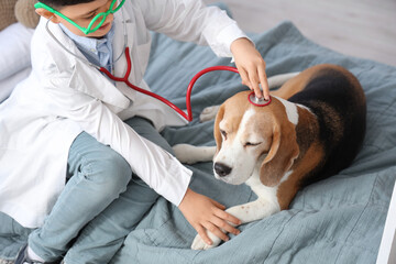 Cute little doctor listening to Beagle dog with toy stethoscope in bedroom, closeup