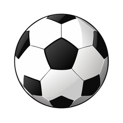 Soccer: The World's Most Popular Sport