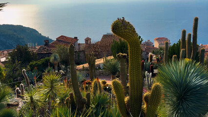 Exotic garden Jardin Exotique d'Eze in the village of Eze Provence, Alps, Cote d'Azur France February 27, 2025