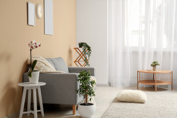 Stylish interior of living room with grey sofa, houseplants, pictures and clock on beige wall