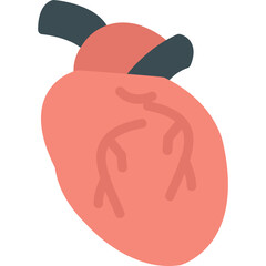 Heart Anatomy Flat Icon