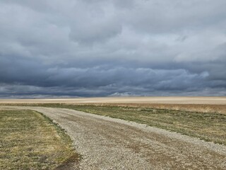 Prairie landscape of a gravel road and yellow field with a dark moody sky.