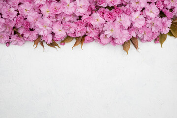 Pink cherry blossom flowers on white textured background. Floral spring composition with copy space. Romantic nature flat lay.