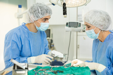 In veterinary clinic, mature female doctor provides surgical operation with male assistant help, guy helper of medical specialist give necessary tools scissors, clamps, surgical ligature