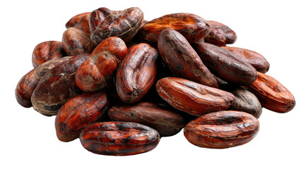 Cacao Beans: A close-up view of a pile of cacao beans, showcasing their rich brown color and smooth, oval shape. These beans are the key ingredient in chocolate.