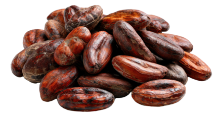 Cacao Beans: A close-up view of a pile of cacao beans, showcasing their rich brown color and smooth, oval shape. These beans are the key ingredient in chocolate.