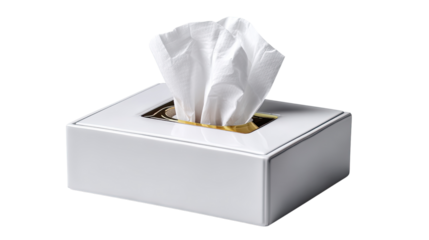 Tissue Box Essentials: A pristine, close-up view of a rectangular tissue box, emanating a feeling of cleanliness and fresh comfort.