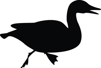 Silhouette Adorable Duck