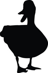 Silhouette Duck Shouting Position