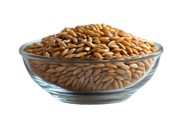 A glass bowl filled with golden grains perfect for culinary and healthfocused content