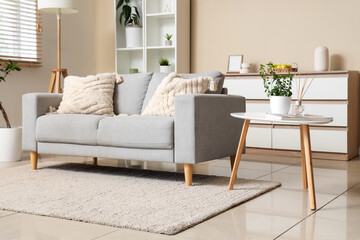 Interior of modern stylish living room with grey sofa and shelving unit