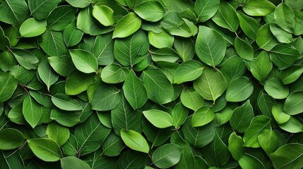 an abstract background of swirling green leaves, arranged by a professional photographer with soft professional studio lighting, creating a smooth, dreamlike effect