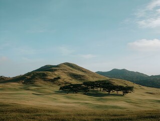 Obraz premium Serene landscape photo of rolling green hills under a clear blue sky, with a cluster of trees in the foreground. Perfect for travel brochures, nature documentaries, and websites.