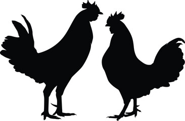 Silhouette Male and Female Rooster