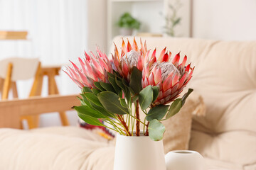 Beautiful protea flowers in living room. Closeup