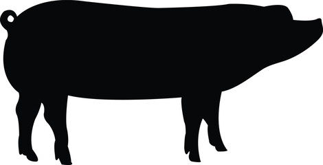 Silhouette Pig Wild Animal