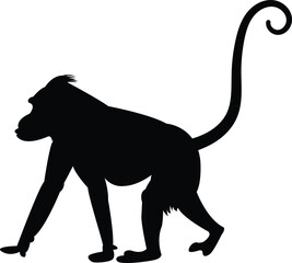 Silhouette Wild Monkey