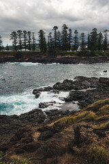 Rugged Australian Coastline with Rocks and Trees