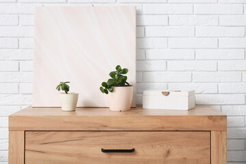 Succulents with painting on chest of drawers near white brick wall