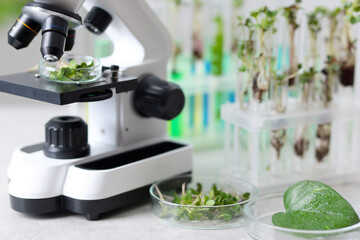 Biochemistry. Glassware with different plants and microscope on light grey table in laboratory,...