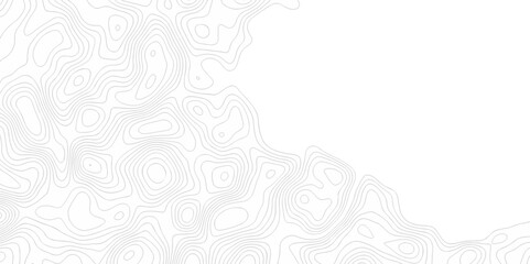 Abstract geometric stripe line discovery topography curve grid map and topo contour map on white background. Seamless pattern with lines Topographic map design.   © MdLothfor