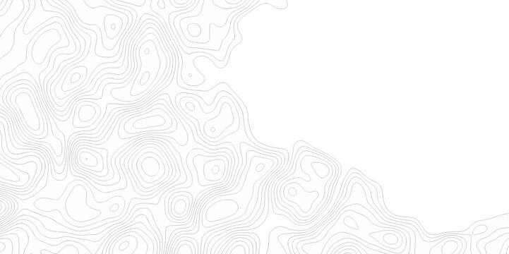 Abstract geometric stripe line discovery topography curve grid map and topo contour map on white background. Seamless pattern with lines Topographic map design.	
