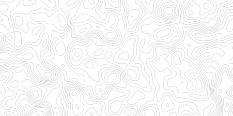 Abstract curve grid map and topo contour map on white background, Topographic contour lines. Seamless pattern with lines Topographic map. Geographic mountain relief diagram line wave carve design.	
