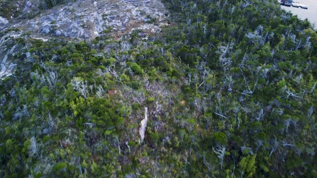 Looking down over a forested island with bald patches of stone. Panning up to show islands and coastline to the horizon