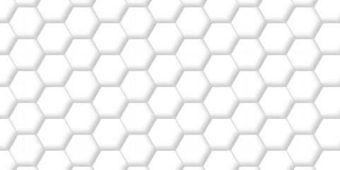 Abstract emboss white Hexagonal Background. Luxury White Pattern. Vector Futuristic minimal honeycomb mosaic white background. geometric mesh cell texture. modern futuristic wallpaper.