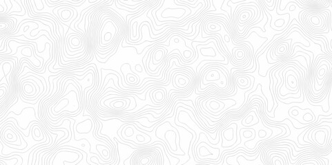 Abstract geometric topography curve grid map and topo contour map on white background. Seamless pattern with lines Topographic map design.	
